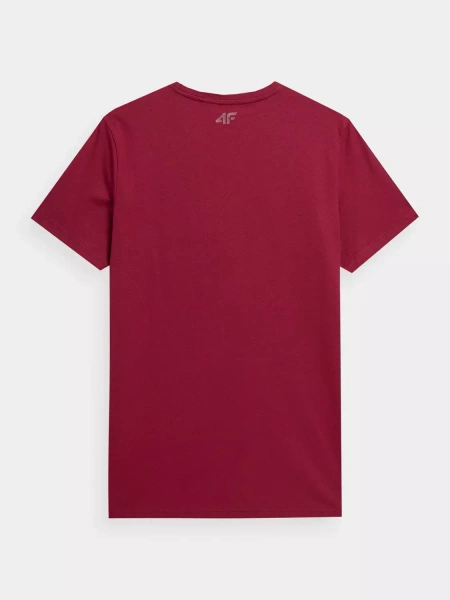 Koszulka męska 4F 4FSS23TTSHM309-61S