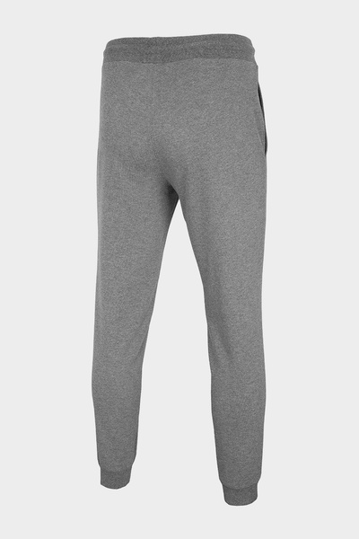 Spodnie dresowe męskie 4F NOSH4-SPMD001-24M