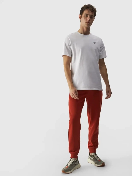 Koszulka męska 4F 4FWMM00TTSHM1843-10S