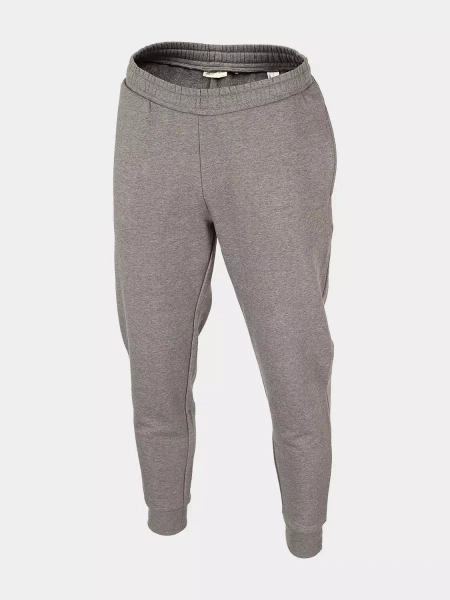 Spodnie dresowe męskie OUTHORN OTHAW22TTROM024-24M