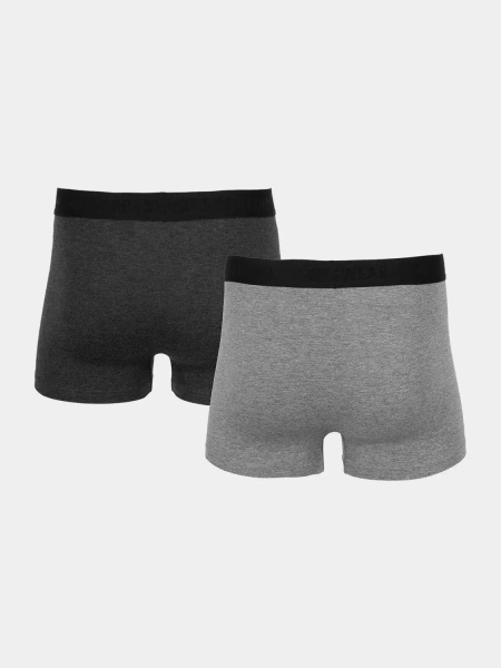 Bokserki męskie 4F H4Z22-BIM350-90M