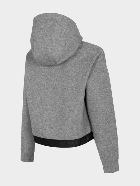 Bluza damska z kapturem 4F H4L21-BLD011-24M