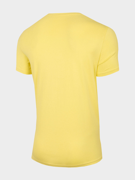 Koszulka męska 4F H4L22-TSM033-73S