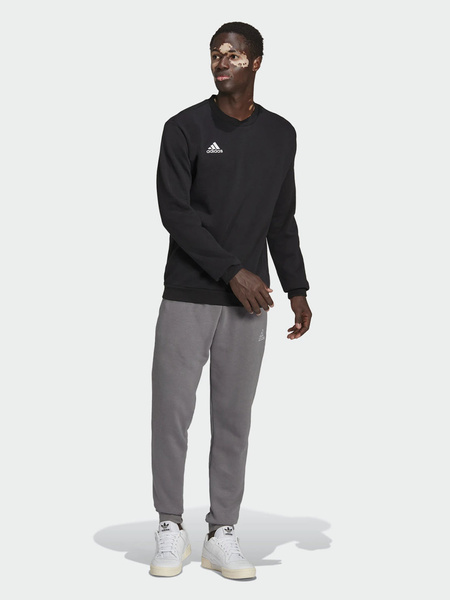 Bluza męska adidas ENT22 SW TOP H57478