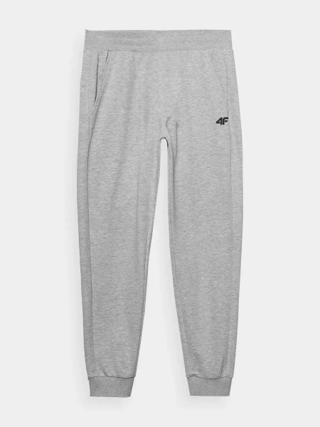Spodnie dresowe męskie 4F 4FWMM00TTROM0943-27M