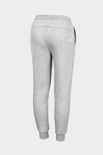 Spodnie dresowe dziecięce 4F HJZ20-JSPDD001-25M