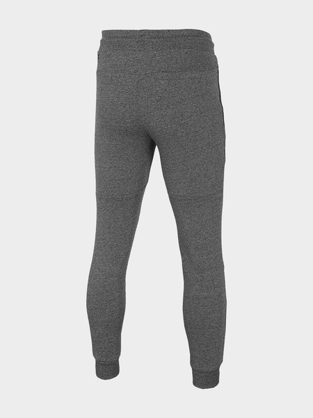 Spodnie dresowe męskie 4F H4L21-SPMD012-23P