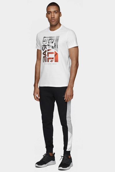 Spodnie dresowe męskie 4F H4L20-SPMD014-31S