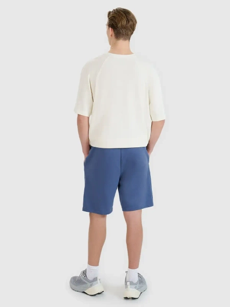 Spodenki męskie 4F 4FWMM00TSHOM543-32S