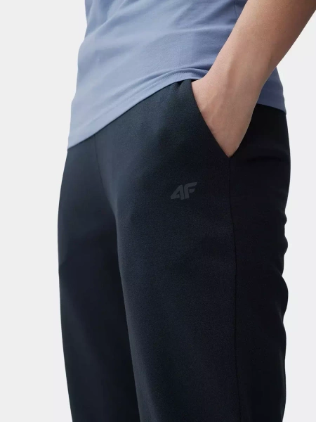 Spodnie dresowe damskie 4F 4FSS23TTROF229-31S
