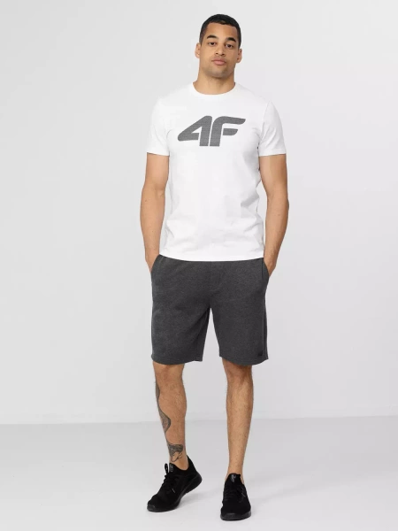 Spodenki męskie 4F H4Z22-SKMD350-23M