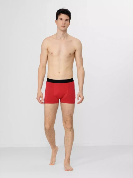 Bokserki męskie 4F H4Z22-BIM350-91S