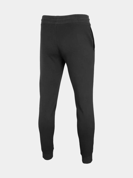 Spodnie dresowe męskie 4F 4FAW22TTROM314-20S