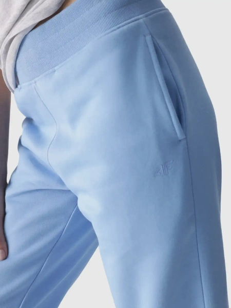 Spodnie dresowe damskie 4F 4FWMM00TTROF0946-32S