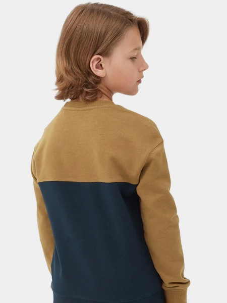 Bluza dziecięca 4F 4FJAW23TSWSM630-74S 