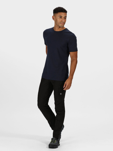 Koszulka męska REGATTA RMT218-540