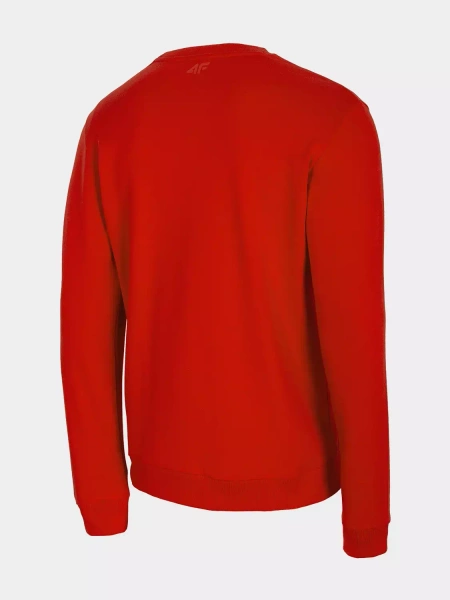 Bluza męska 4F H4Z22-BLM350-62S