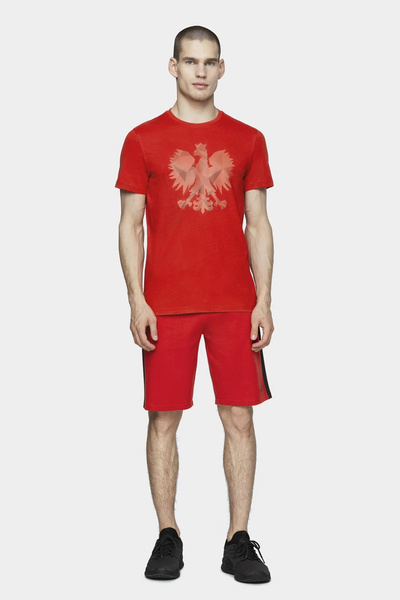 Koszulka męska 4F D4L20-TSM500-62S