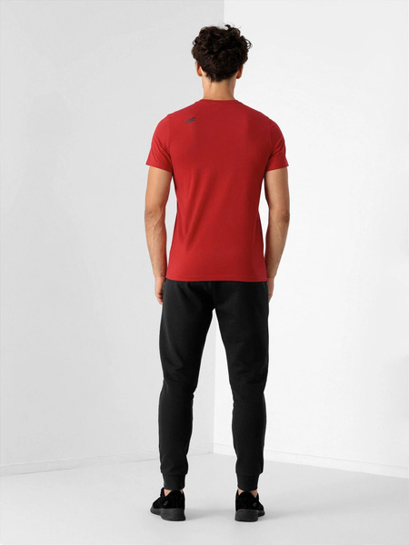 Spodnie dresowe męskie 4F NOSH4-SPMD351-20S