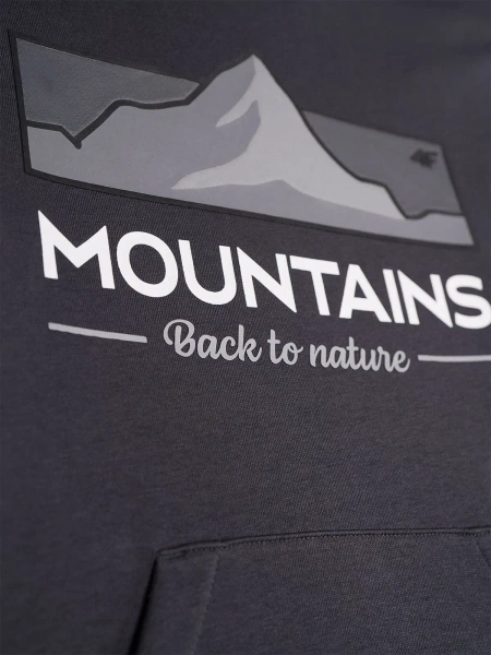 Bluza dziecięca z kapturem 4F 4FJAW23TSWSM634-22S 