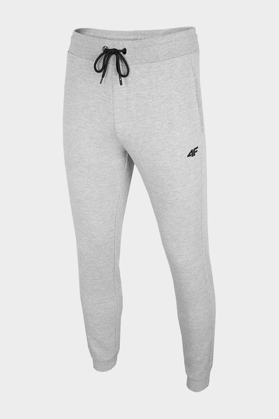 Spodnie dresowe męskie 4F NOSH4-SPMD001-27M