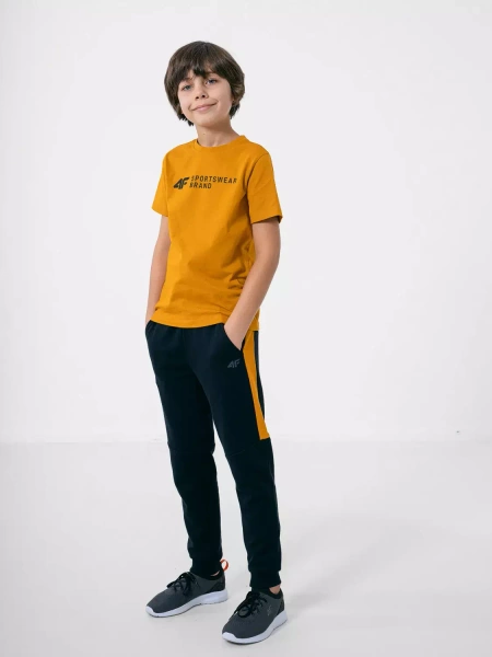 Koszulka dziecięca 4F HJZ22-JTSM003-71S