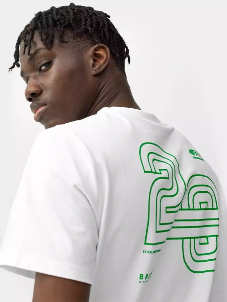 Koszulka męska 4F 4FSS23TTSHM312-10S