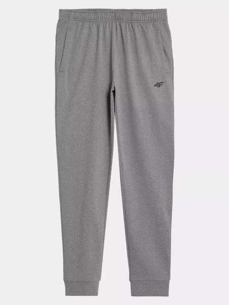 Spodnie dresowe męskie 4F 4FAW23TFTRM350-27M 