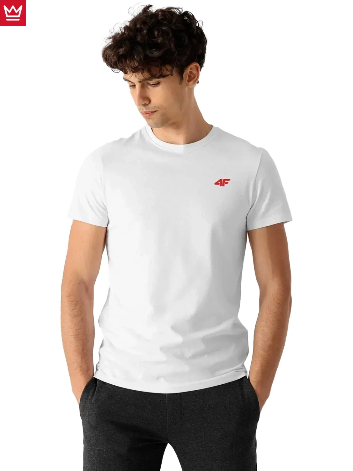 Koszulka męska 4F 4FWSS24TTSHM1899-10S