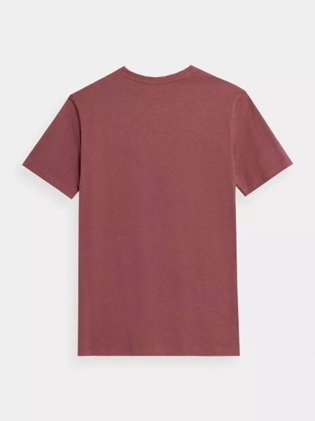 Koszulka męska 4F 4FSS23TTSHM1047-63S