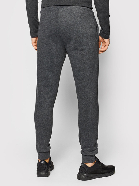 Spodnie dresowe meskie 4F NOSH4-SPMD351-23M