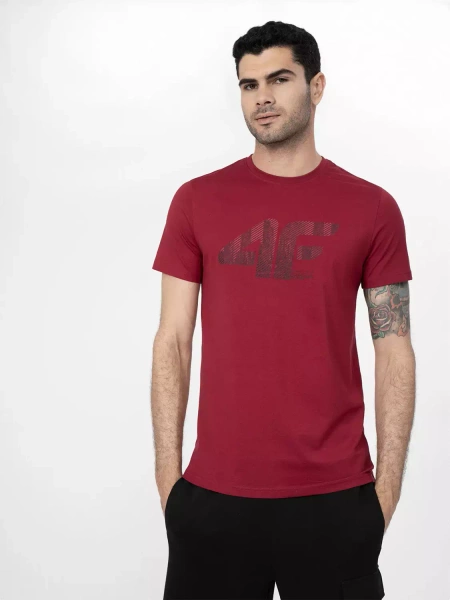 Koszulka męska 4F 4FSS23TTSHM309-61S