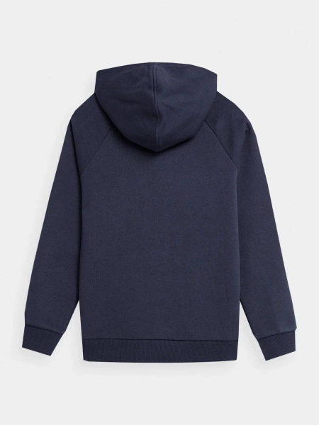 Bluza dziecięca z kapturem 4F 4FJAW23TSWSM626-31S