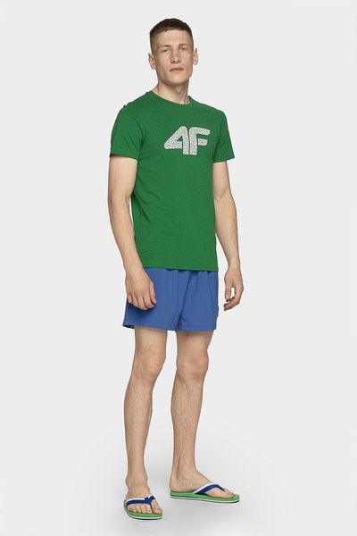 Koszulka męska 4F H4L19-TSM020-41M
