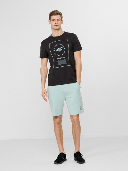 Koszulka męska 4F H4L22-TSM033-22S