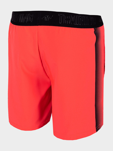 Spodenki dziecięce 4F JUNIOR HJL22-JSKMTR002-62N