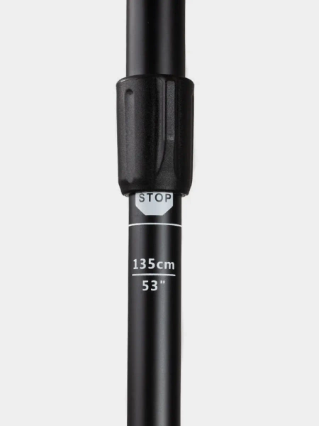 Kije trekkingowe BERGSON BTP-02