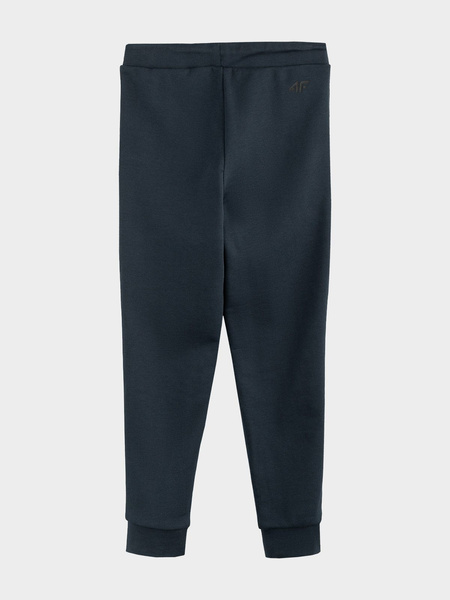 Spodnie dresowe dziecięce 4F HJZ21-JSPMD001B-31S