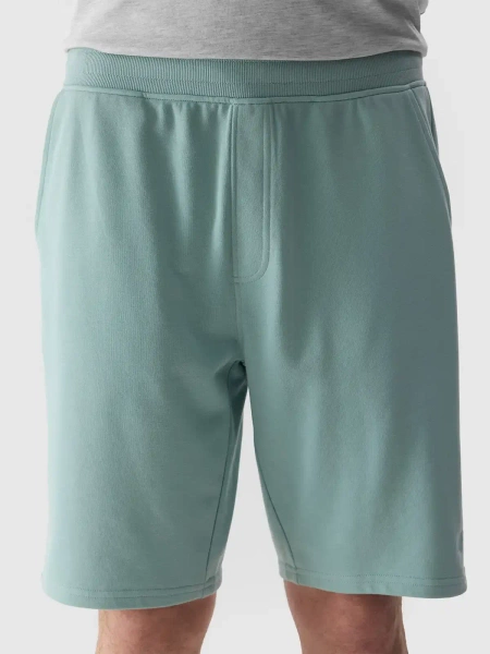 Spodenki męskie 4F 4FWSS24TSHOM284-47S