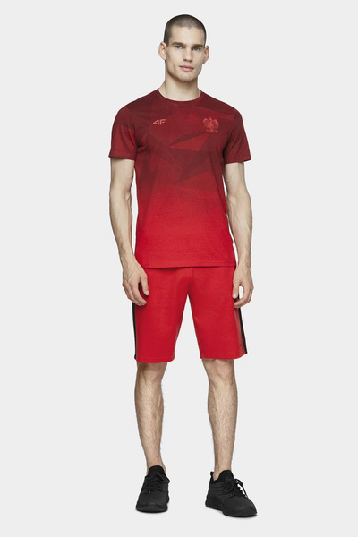 Koszulka męska 4F D4L20-TSM502-62S