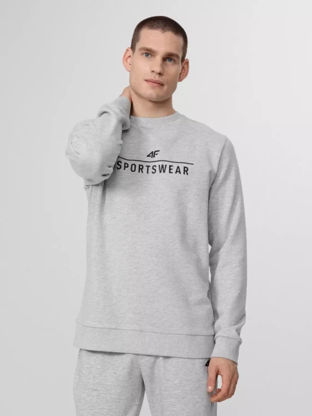 Bluza męska 4F H4Z22-BLM350-27M