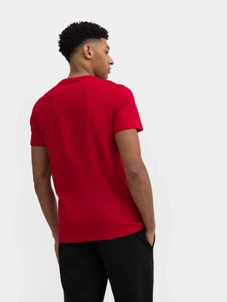 Koszulka 4F 4FWAW23TTSHM1614-90S 3-PAK 