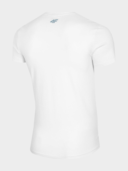 Koszulka męska 4F H4L21-TSM030-10S