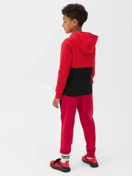 Bluza dziecięca z kapturem 4F 4FJAW23TSWSM628-62S