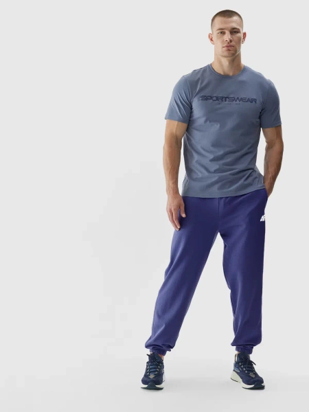 Spodnie dresowe męskie 4F 4FWAW24TTROM1277-31S