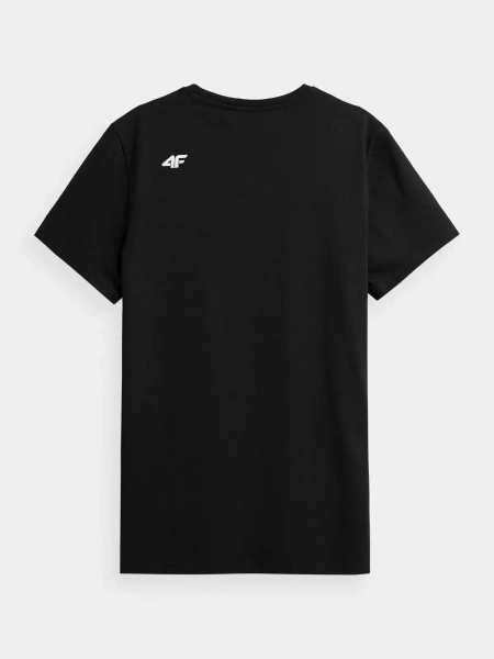 Koszulka męska 4F 4FWAW24TTSHM2424-20S