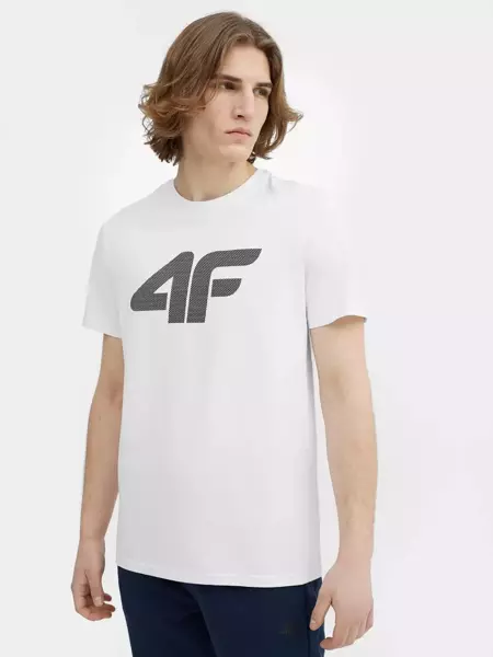 Koszulka męska 4F 4FSS23TTSHM537-10S